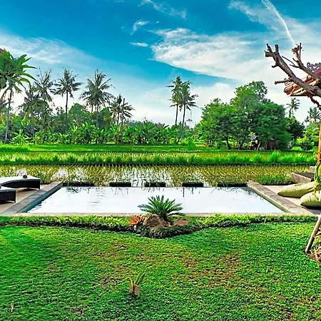 Dapha Eco Lodge Lovina