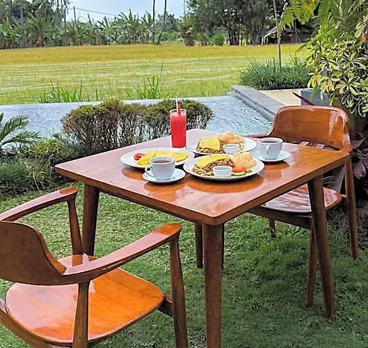 Dapha Eco Lovina ロッジ Pabean Buleleng